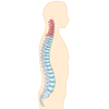 Ícono