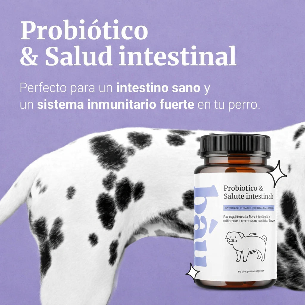Equilibrio intestinal para tu perro