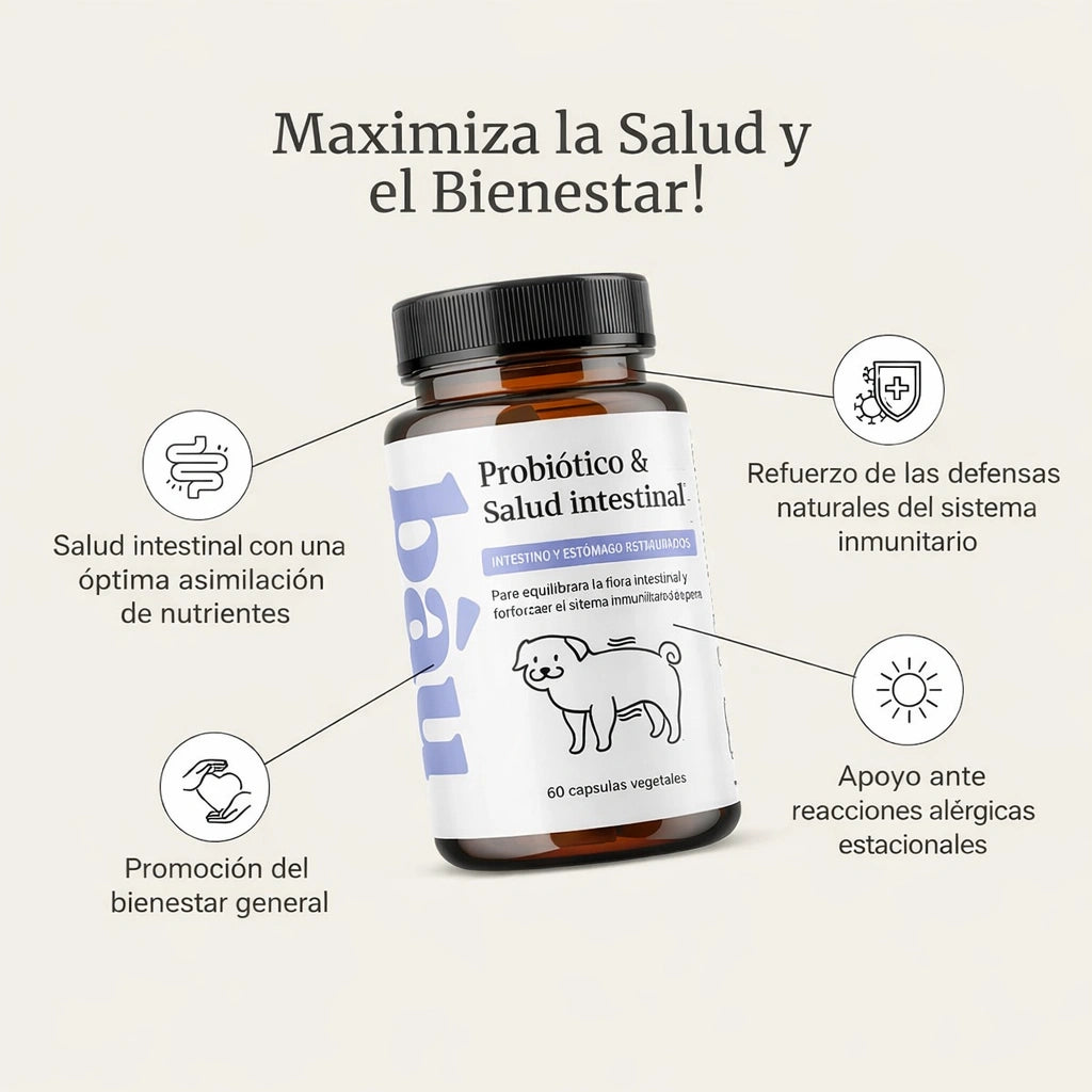 Equilibrio intestinal para tu perro