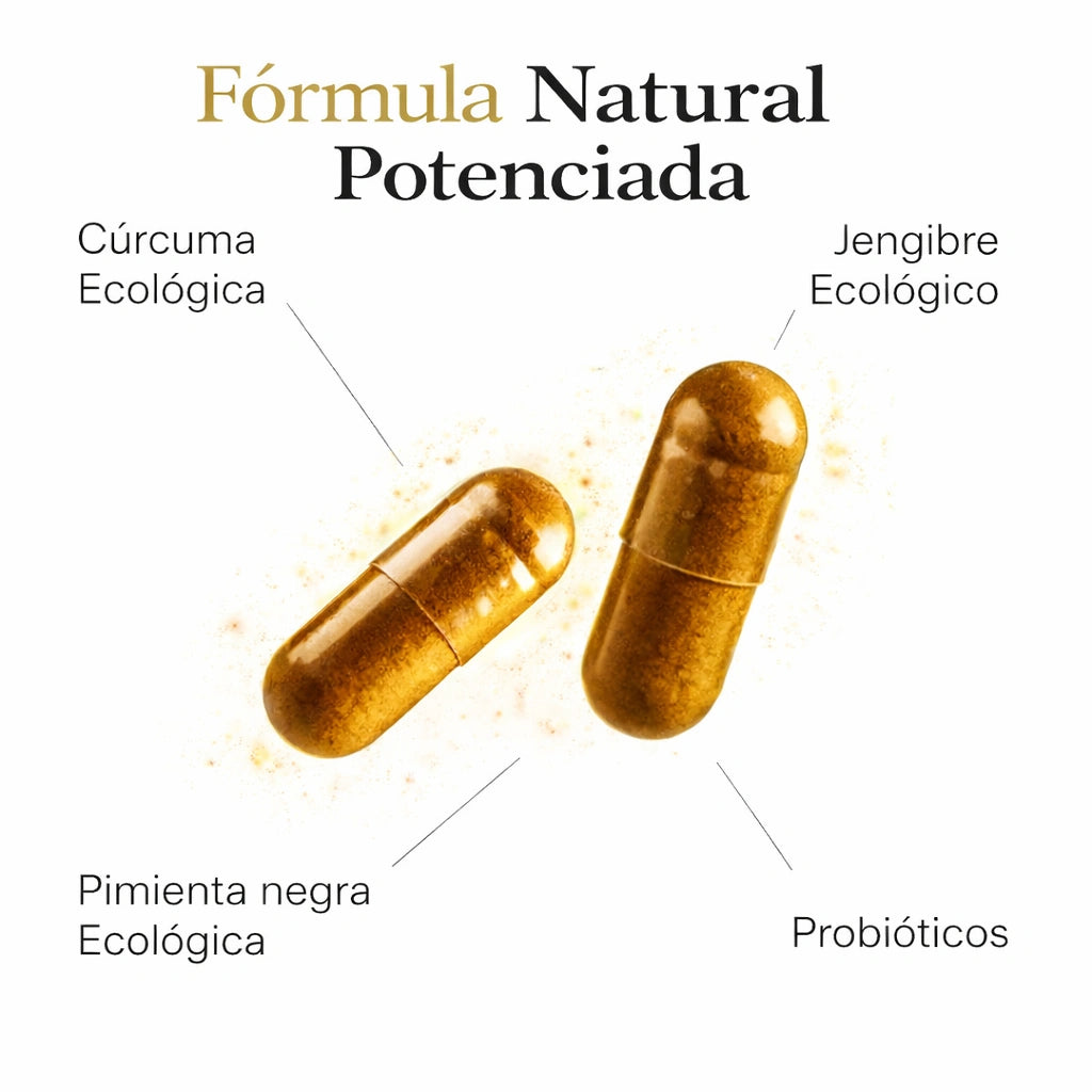 Equilibrio intestinal diario
