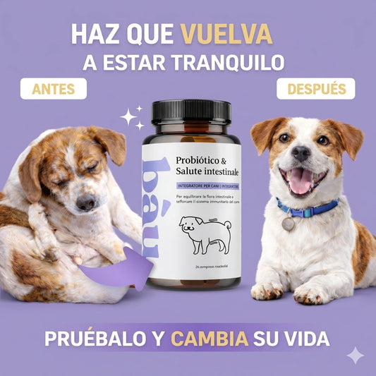 Equilibrio intestinal para tu perro